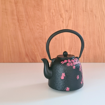 Tetera Bolton Fierro Fundido Negra con Filtro 0.5 Litros