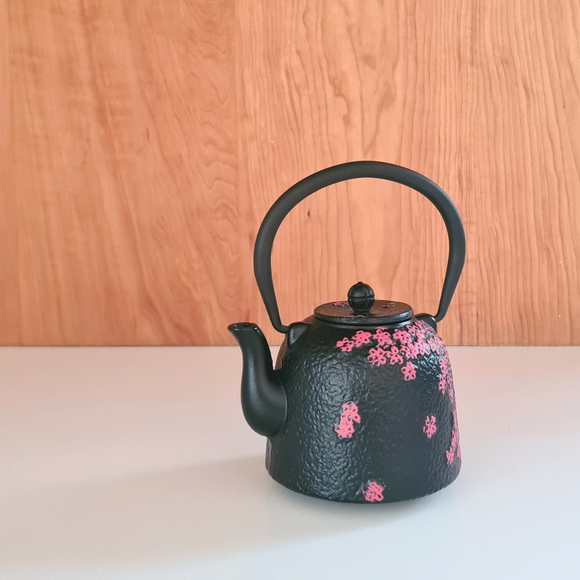 Tetera Bolton Fierro Fundido Negra con Filtro 0.5 Litros